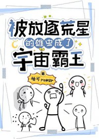 ��������ǵ��۳�����������