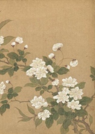 ���������������⣬1V1��