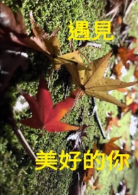 �������õ���