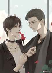 ��Alphaǰ���������벻����