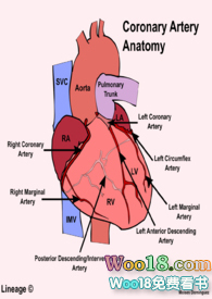 �����ּ�