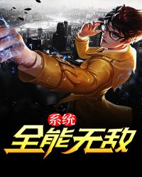 ȫ���޵�ϵͳ