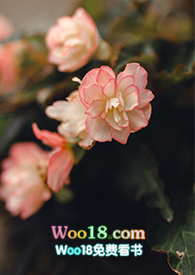 ��԰����gl