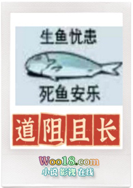 �����ҳ����Ŵ�NP��