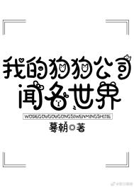 �ҵĹ�����˾��������