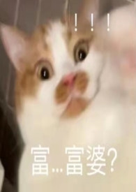 �����뿪�ܣ���ĸ�У�