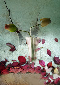 ����������һ��Ļ���