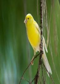 �ȴ����ֵĽ�˿ȸ