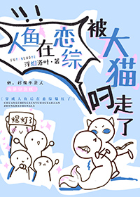 ���������۱���è������