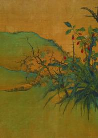 �����ԡ������Ƿ���˧