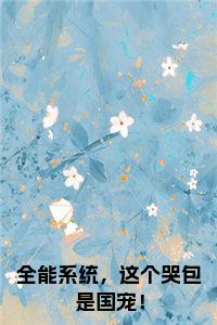 ȫ��ϵͳ������ް��ǹ���