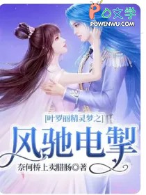 [������ͬ��] Ҷ����������֮��۵糸